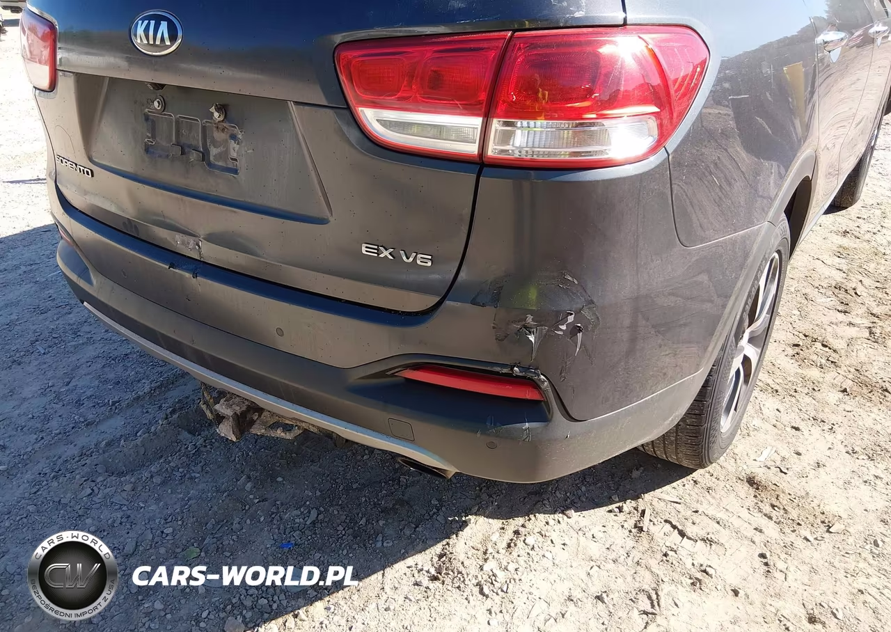 2016 Kia Sorento 3.3L Ex VIN:5XYPHDA54GG100857 - 6