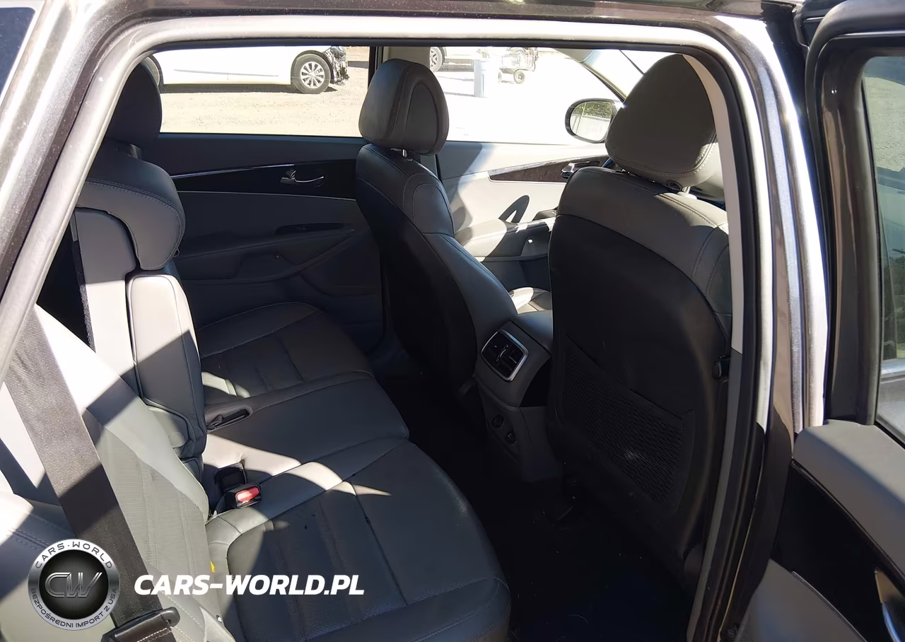 2016 Kia Sorento 3.3L Ex VIN:5XYPHDA54GG100857 - 8