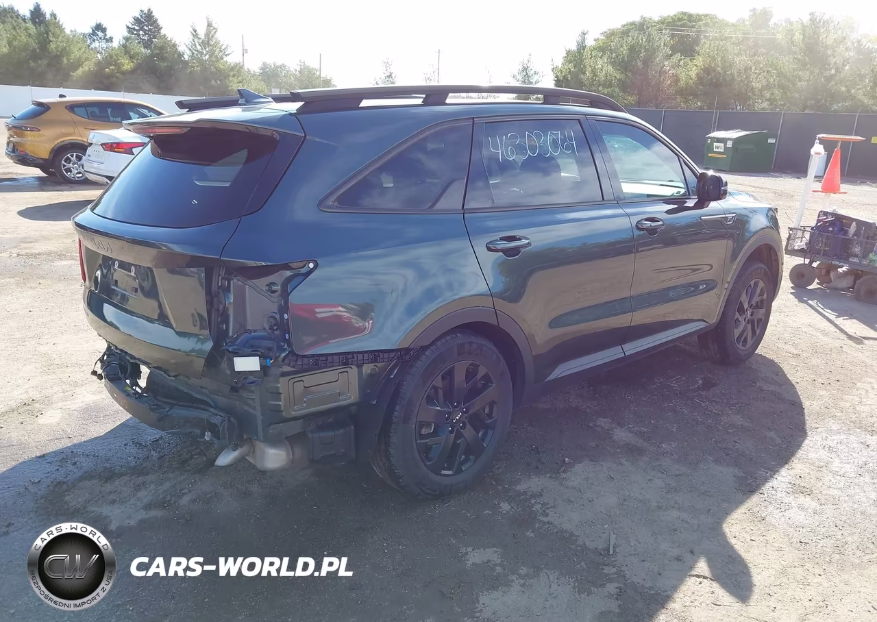 2023 Kia Sorento X-Line S VIN:5XYRLDLC7PG219442 - 4