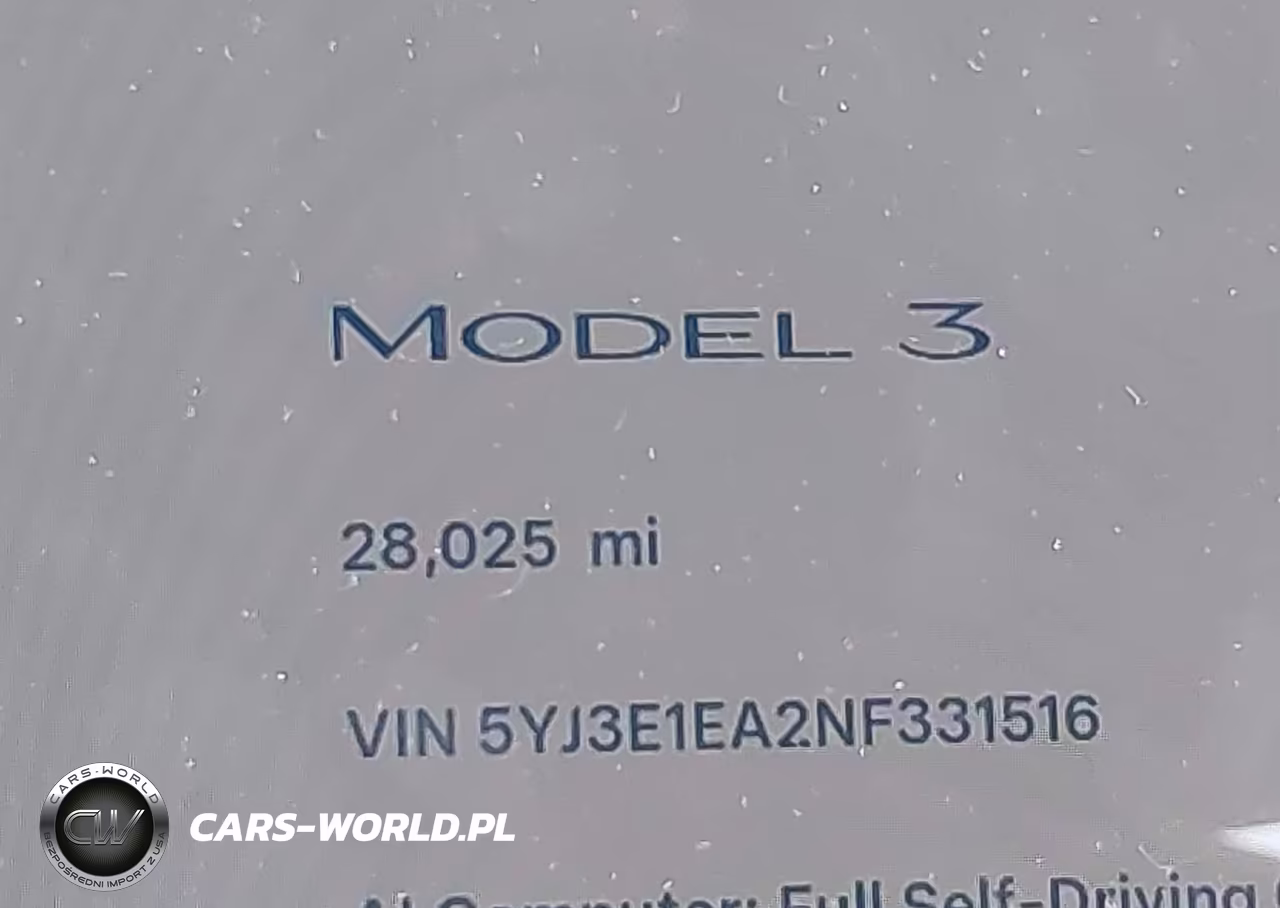 2022 Tesla Model 3 Rear-Wheel Drive VIN:5YJ3E1EA2NF331516 - 14