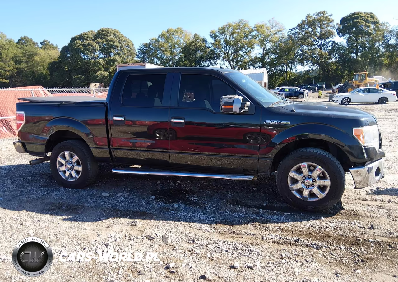 2014 Ford F-150 Xlt VIN:1FTFW1CFXEKG41585 - 13