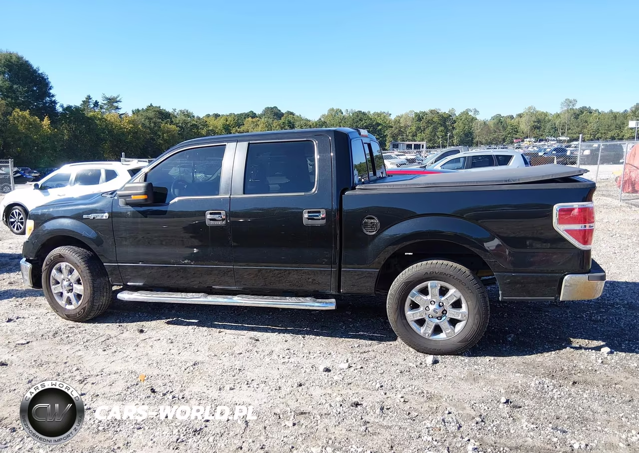 2014 Ford F-150 Xlt VIN:1FTFW1CFXEKG41585 - 14