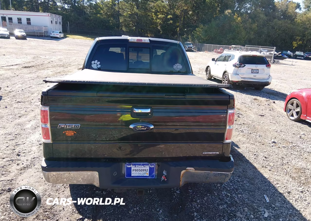 2014 Ford F-150 Xlt VIN:1FTFW1CFXEKG41585 - 16
