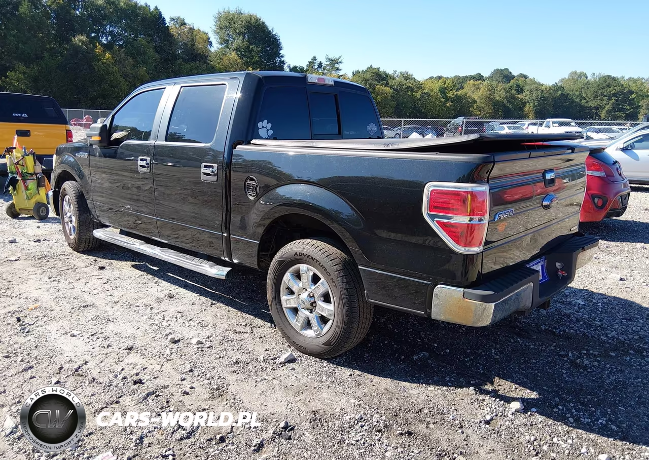 2014 Ford F-150 Xlt VIN:1FTFW1CFXEKG41585 - 3