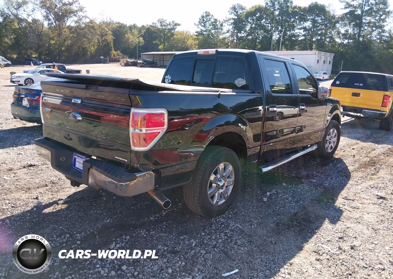 2014 Ford F-150 Xlt VIN:1FTFW1CFXEKG41585 - 4