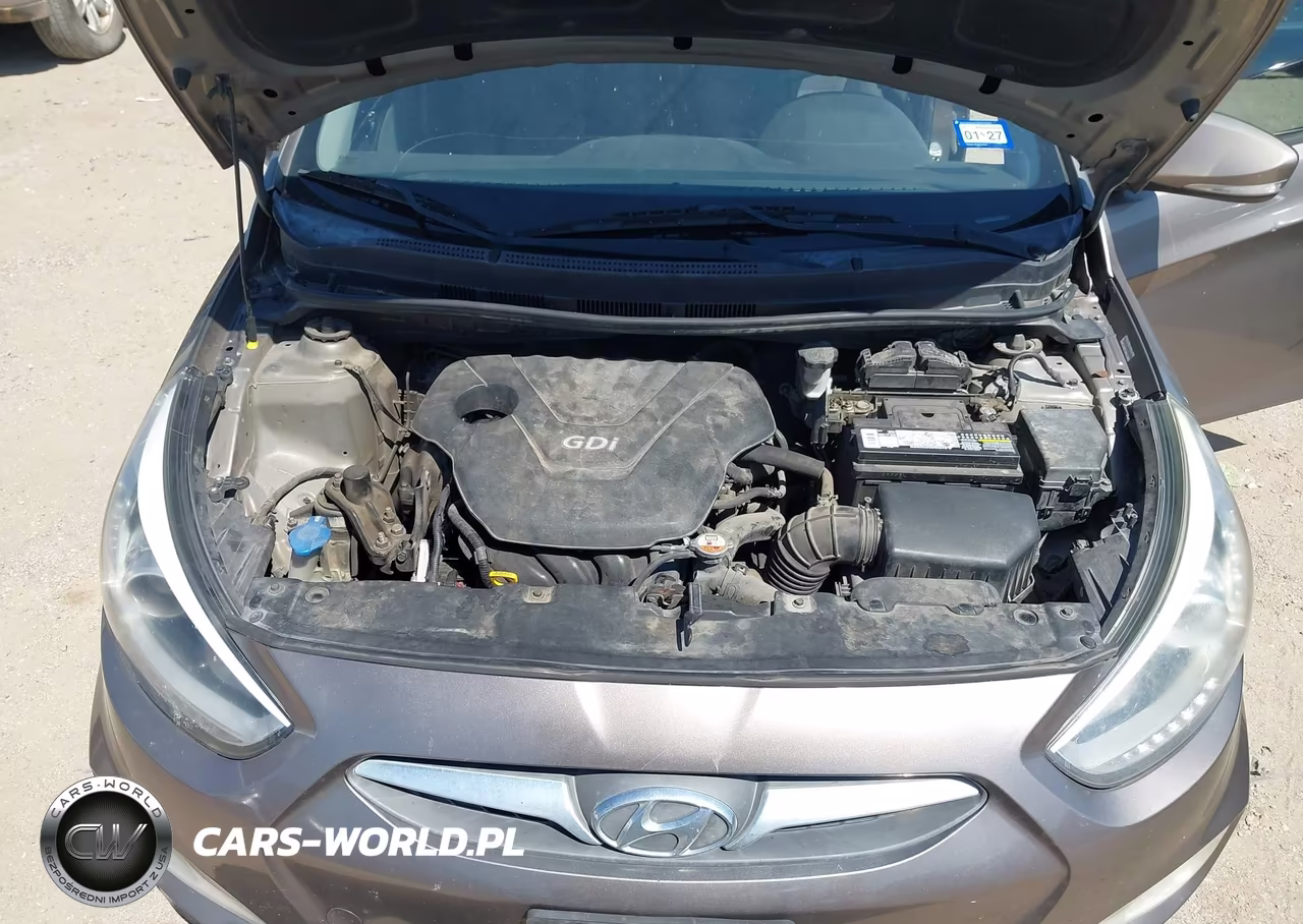2014 Hyundai Accent Se VIN:KMHCU5AE9EU161001 - 10