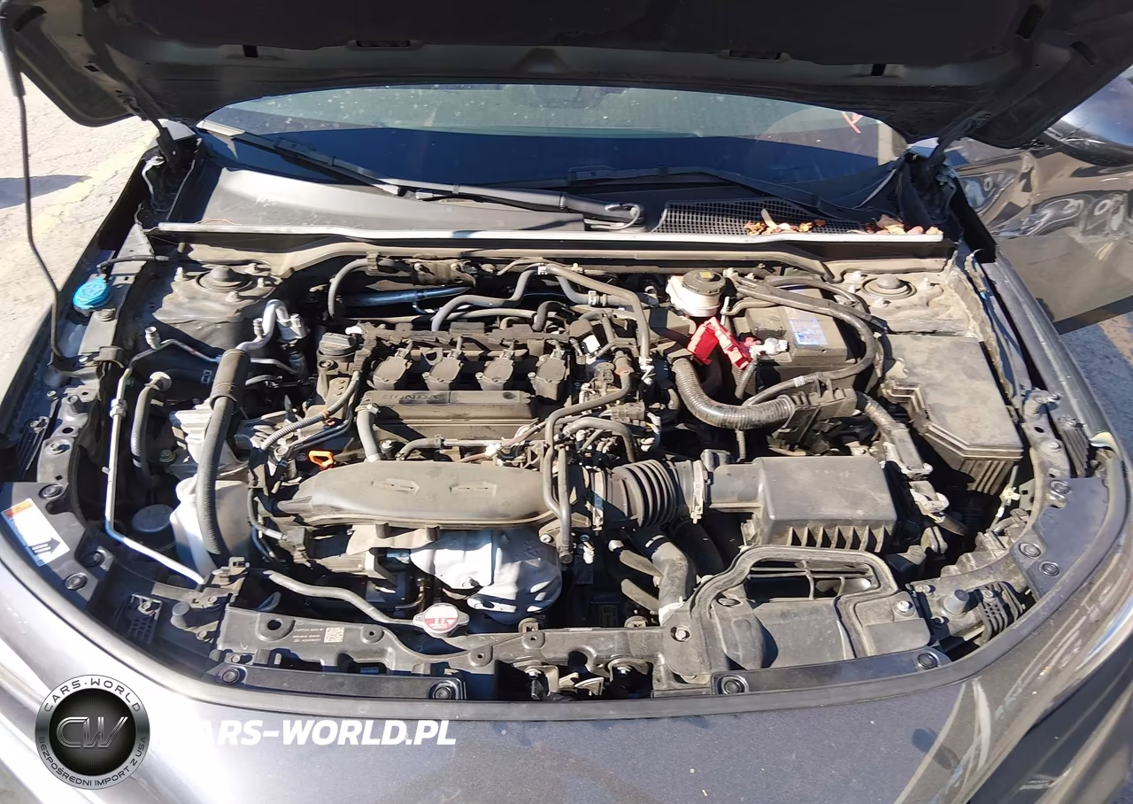 2024 Honda Civic Ex-L VIN:19XFL1H78RE019182 - 10