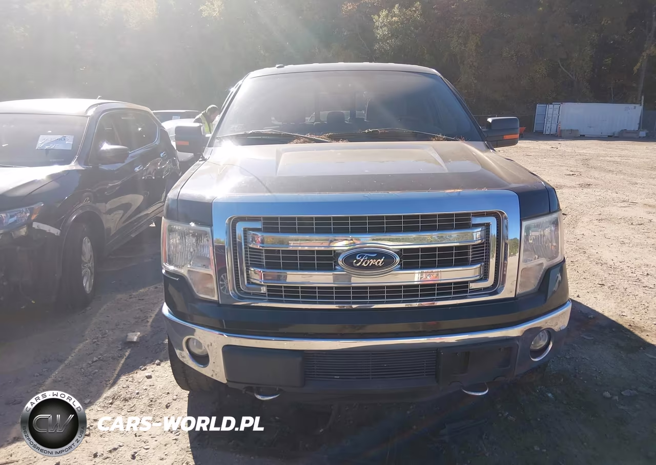 2013 Ford F-150 Xlt VIN:1FTFW1ETXDFA84221 - 12