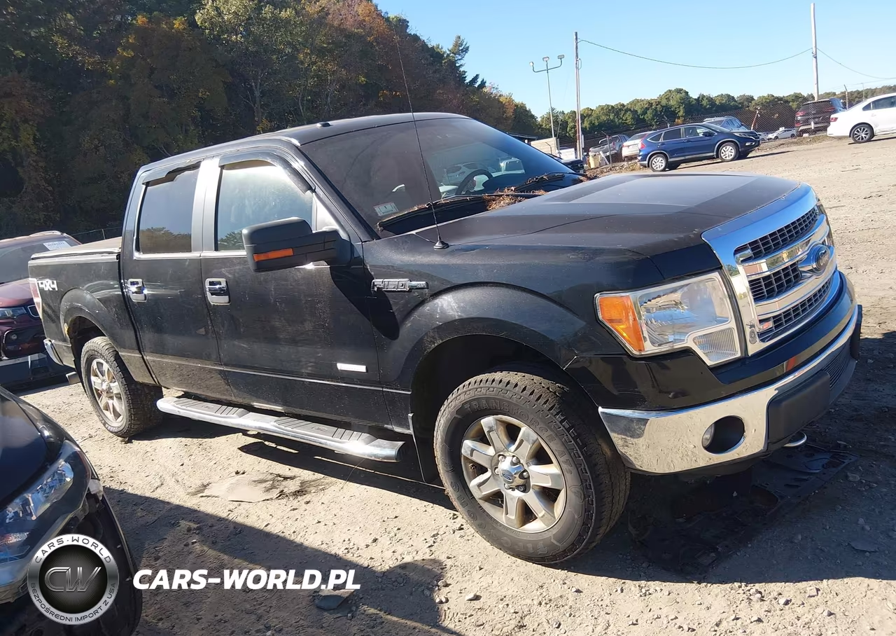 2013 Ford F-150 Xlt VIN:1FTFW1ETXDFA84221 - 13