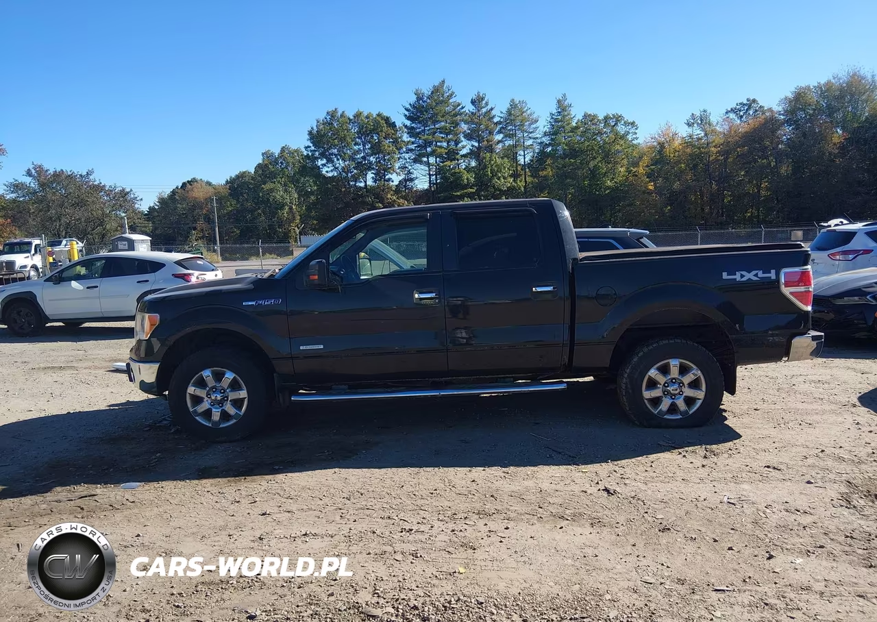 2013 Ford F-150 Xlt VIN:1FTFW1ETXDFA84221 - 14