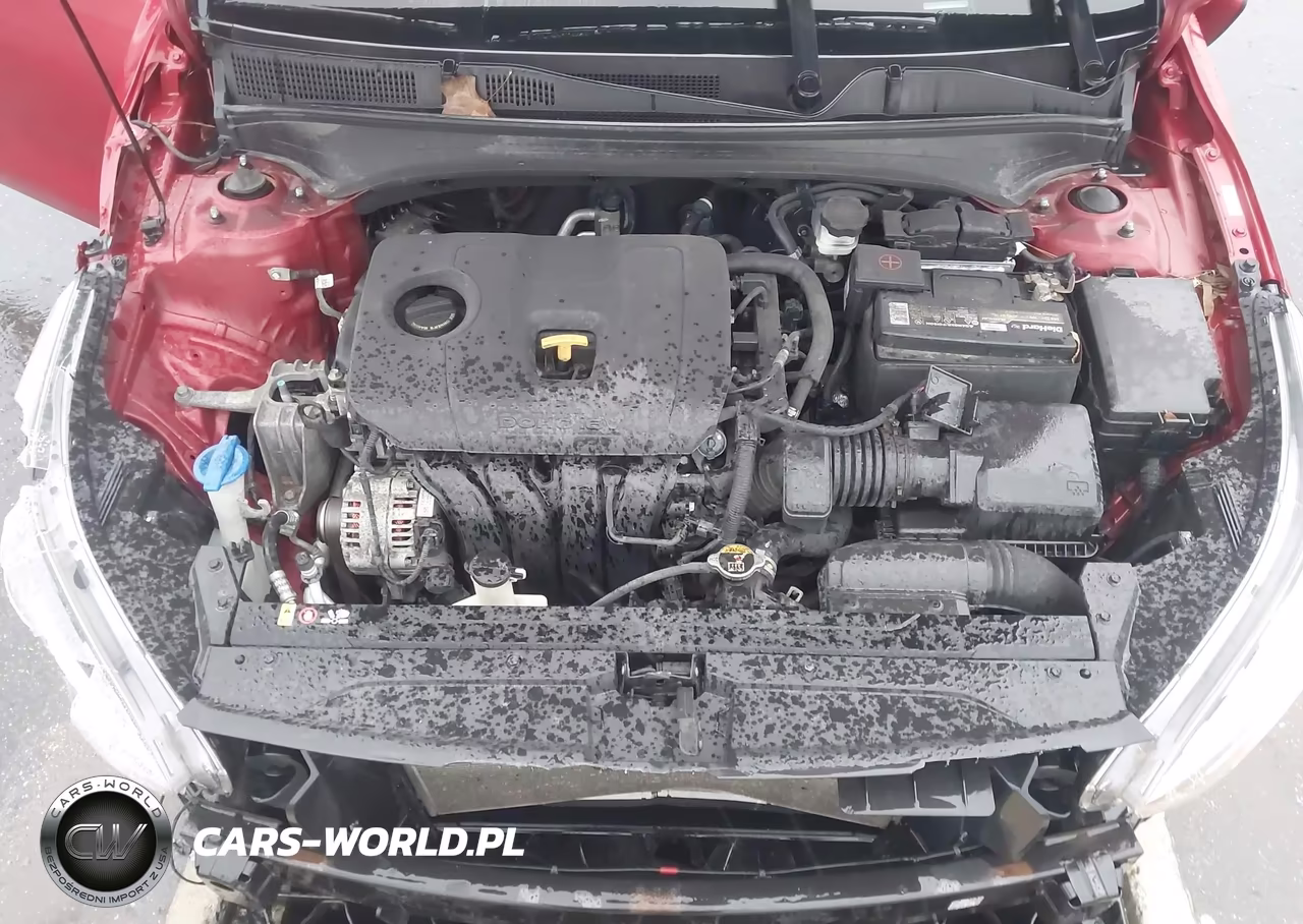 2019 Kia Forte Lxs VIN:3KPF24AD4KE036670 - 10