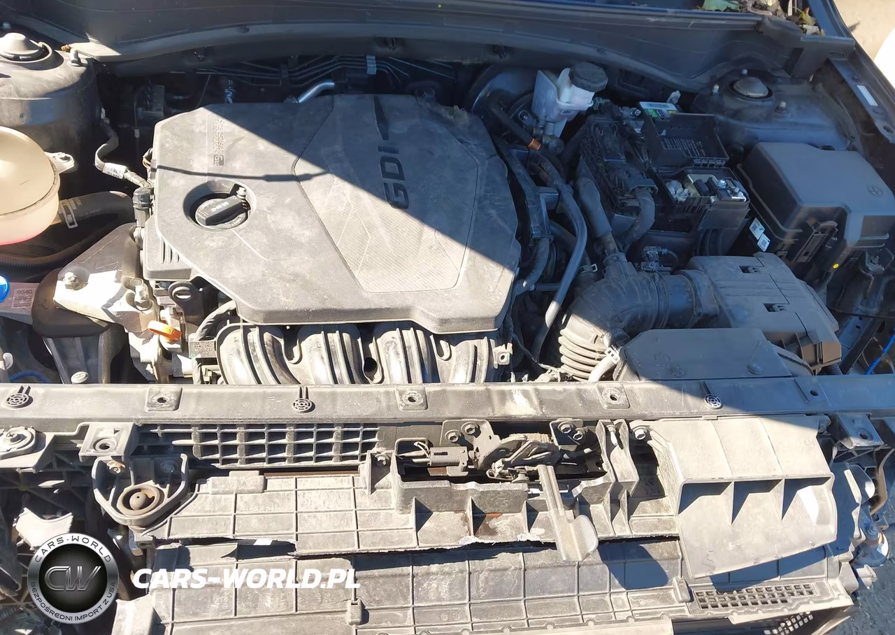 2023 Kia Sportage Sx VIN:5XYK43AF6PG029962 - 10