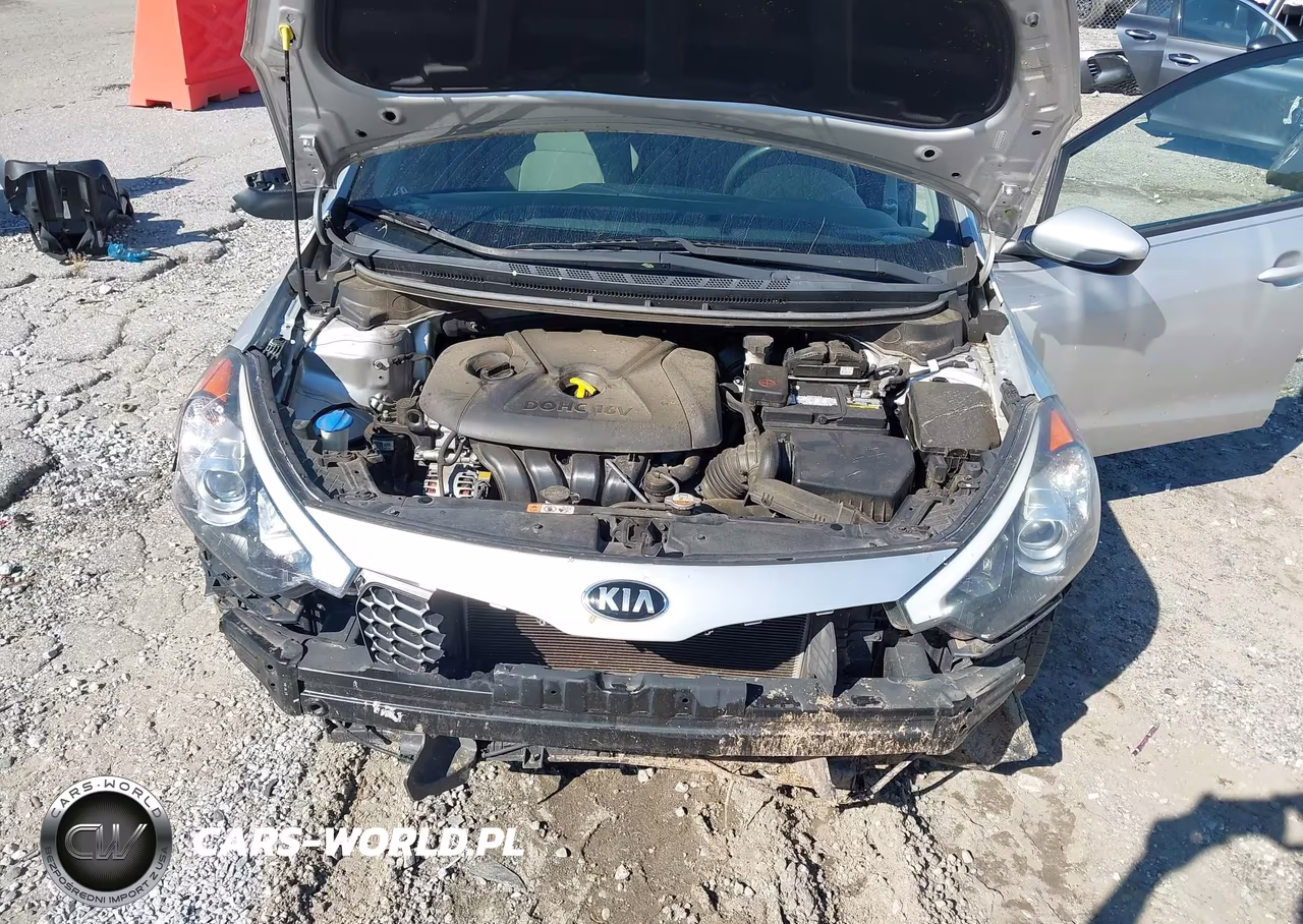 2016 Kia Forte Lx VIN:KNAFK4A69G5515359 - 10