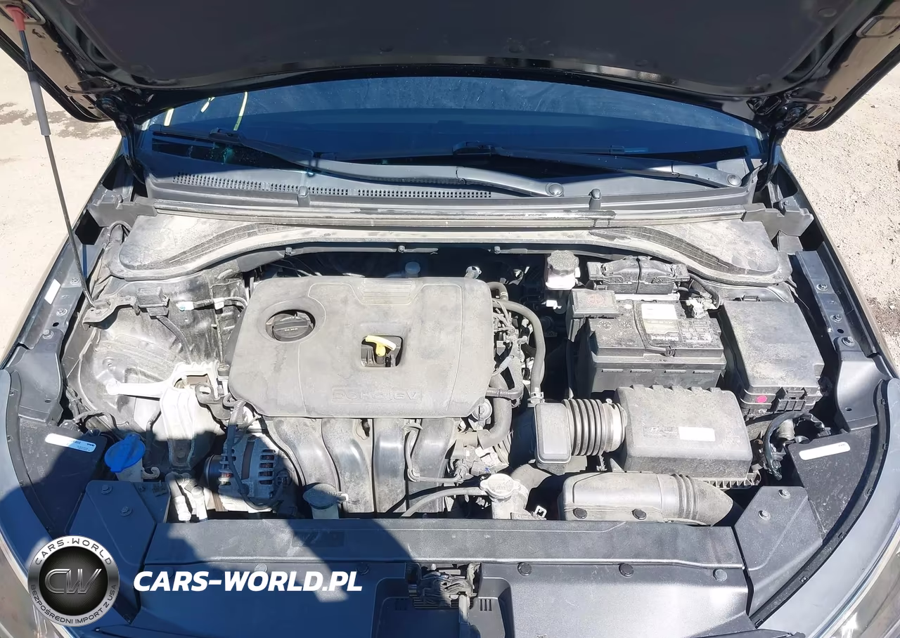 2019 Hyundai Elantra Sel VIN:KMHD84LF4KU871699 - 10