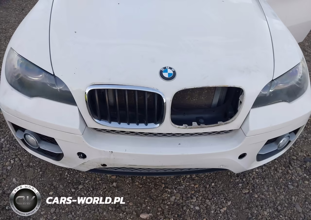 2012 BMW X6 xDrive50I VIN:5UXFG8C52CL590490 - 6