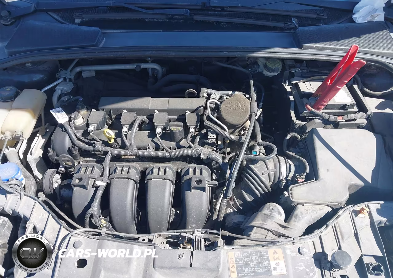 2015 Ford Focus Se VIN:1FADP3F2XFL321984 - 10