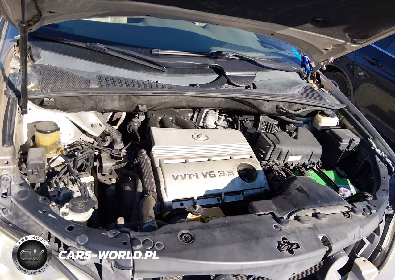 2006 Lexus Rx 330 VIN:2T2GA31U16C052987 - 10