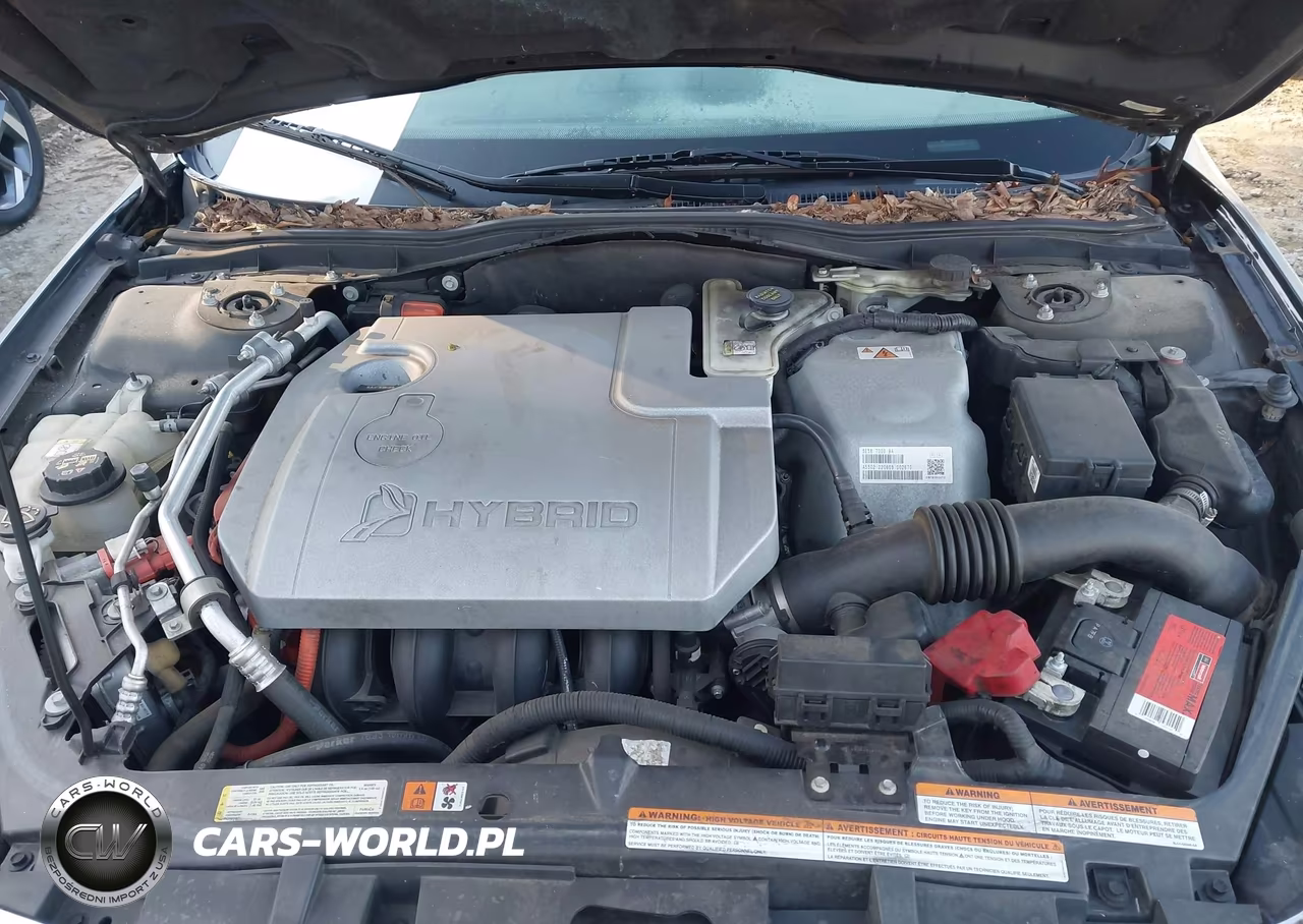 2010 Ford Fusion Hybrid VIN:3FADP0L36AR186007 - 10