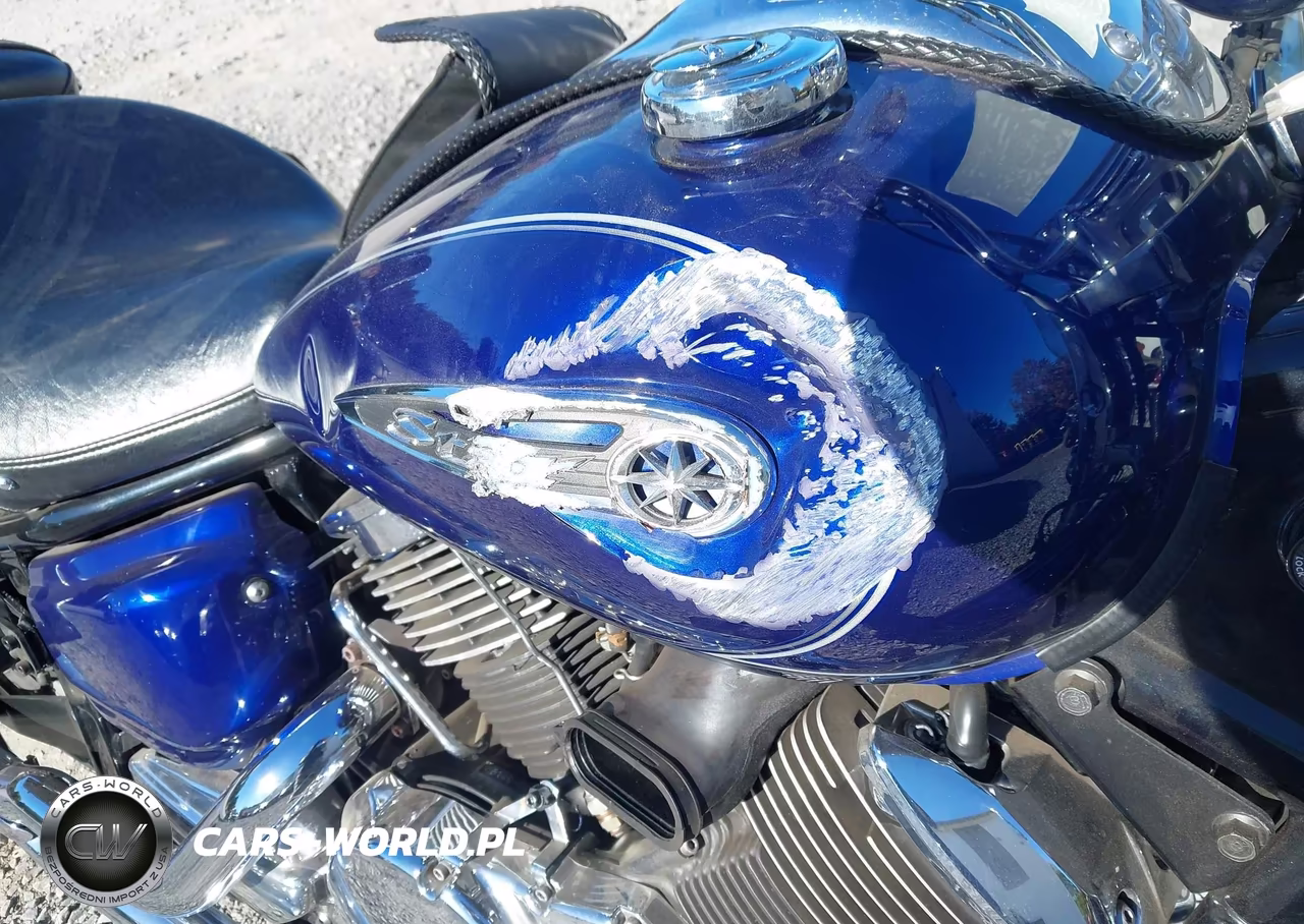 2009 Yamaha Xvs1100 A VIN:JYAVP11E49A114118 - 15