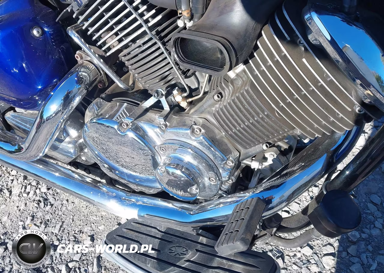 2009 Yamaha Xvs1100 A VIN:JYAVP11E49A114118 - 16