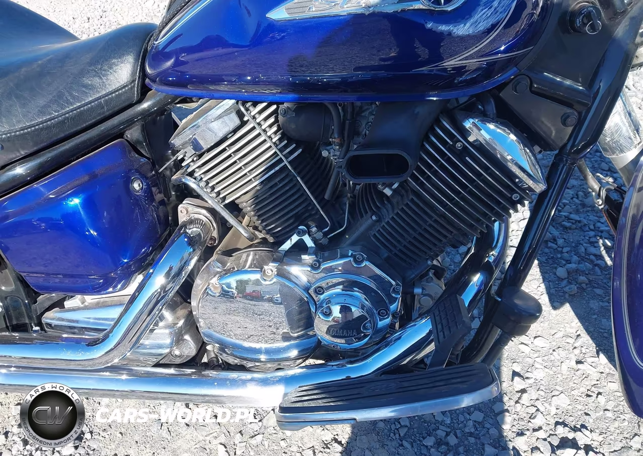 2009 Yamaha Xvs1100 A VIN:JYAVP11E49A114118 - 8