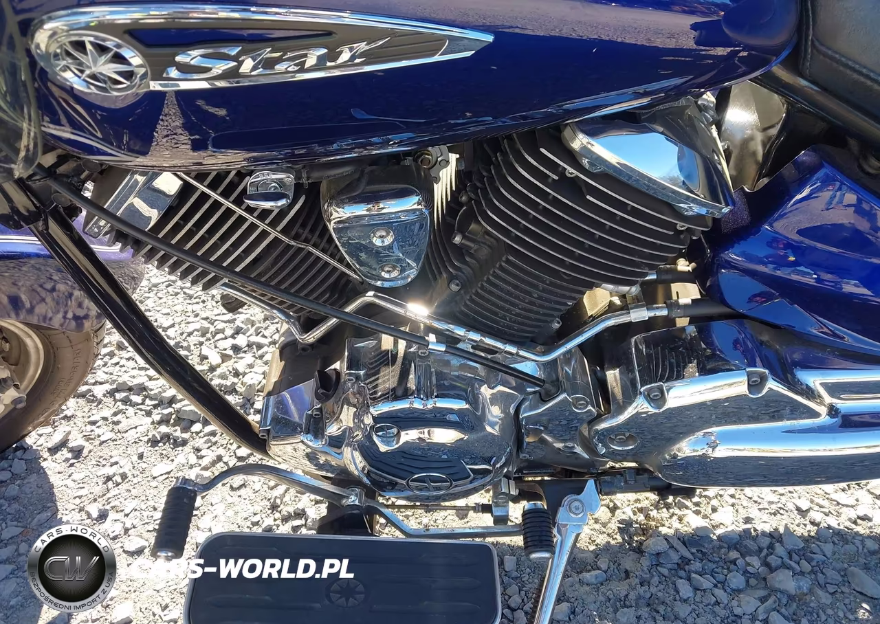 2009 Yamaha Xvs1100 A VIN:JYAVP11E49A114118 - 9