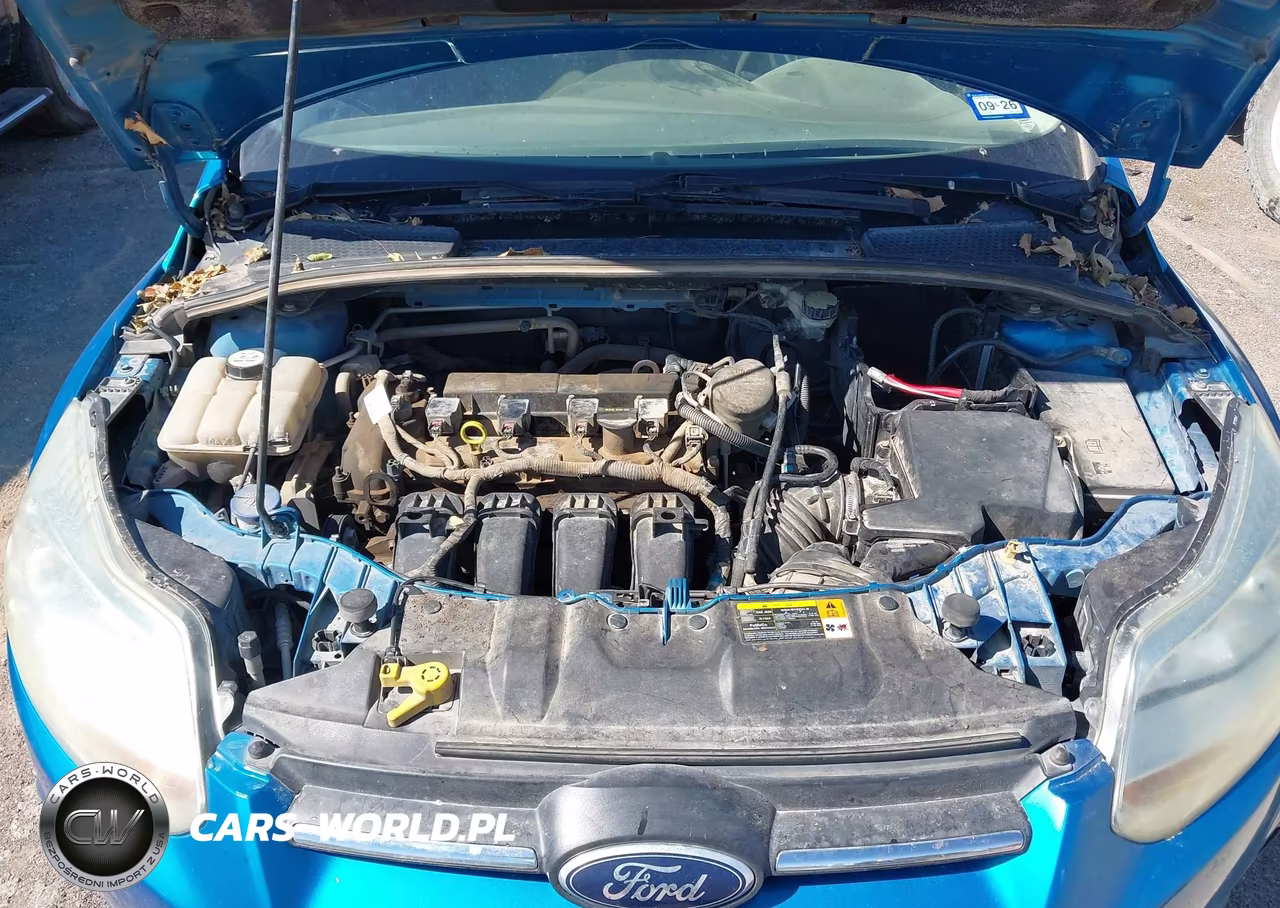 2013 Ford Focus Se VIN:1FADP3F24DL131451 - 10