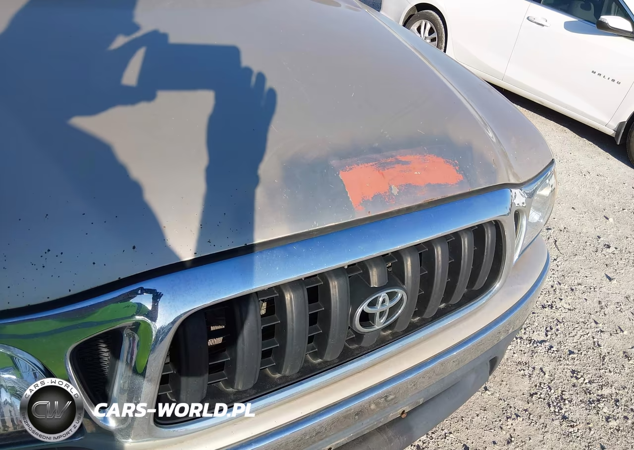 2003 Toyota Tacoma Prerunner V6 VIN:5TESN92N73Z179083 - 12
