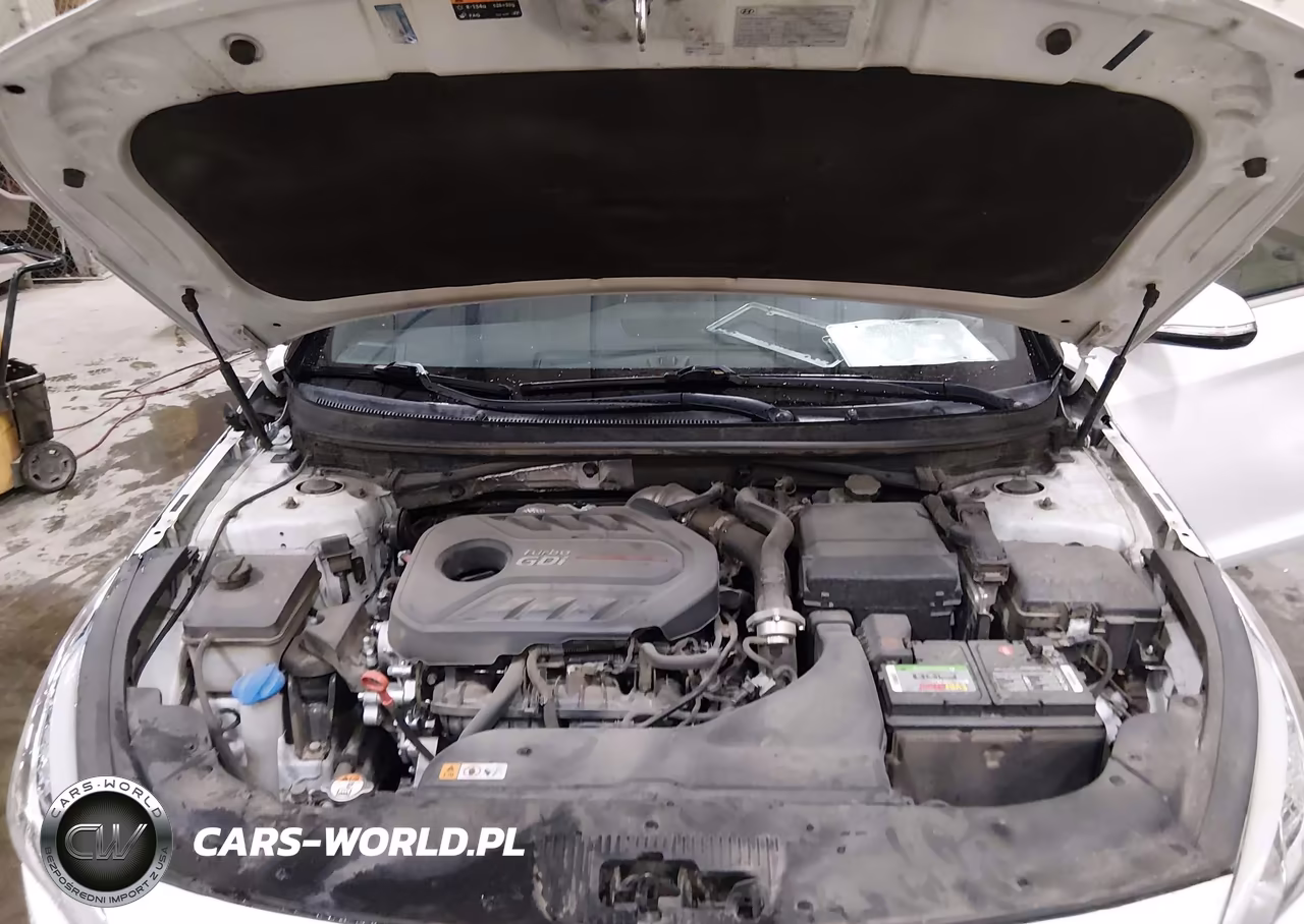 2015 Hyundai Sonata Limited 2.0T VIN:5NPE34AB2FH153981 - 10
