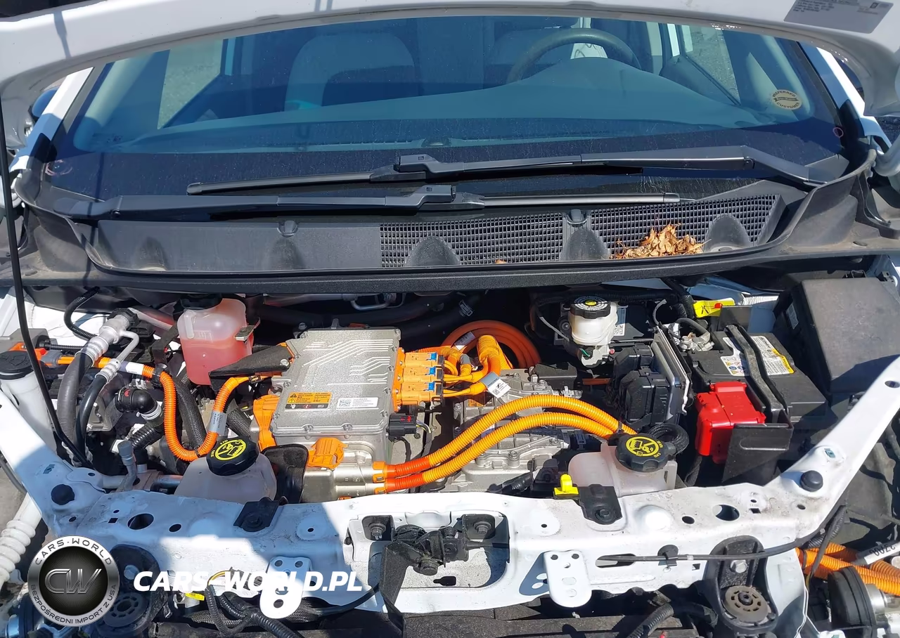 2021 Chevrolet Bolt Ev Fwd Lt VIN:1G1FY6S02M4105813 - 10
