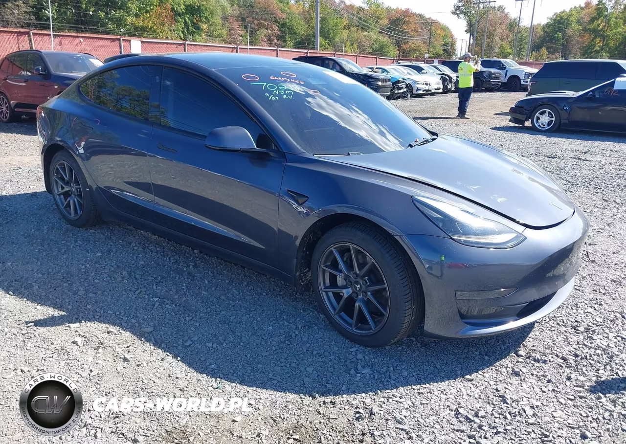 2023 Tesla Model 3 Rear-Wheel Drive
