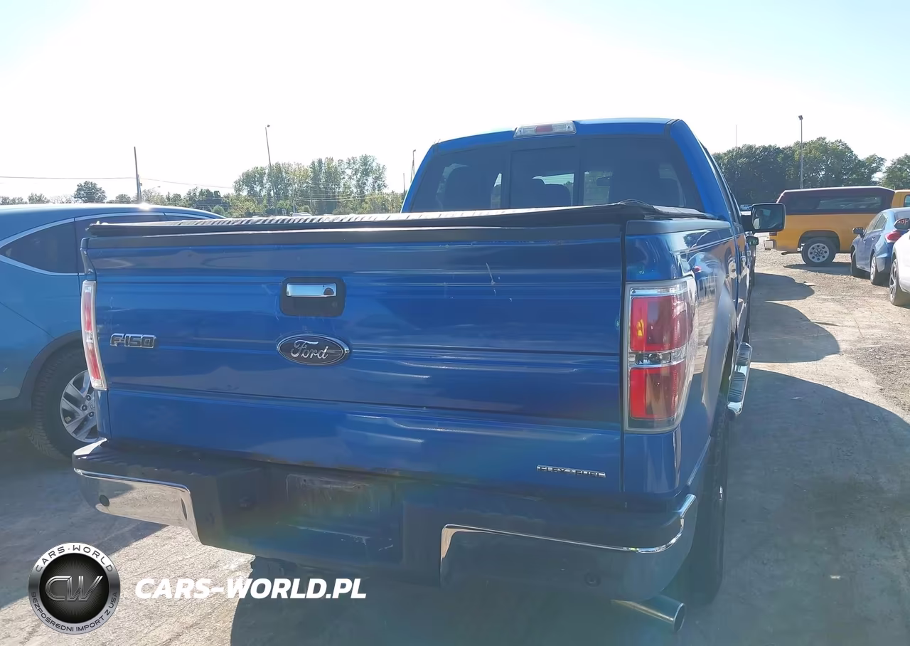 2012 Ford F-150 Xlt VIN:1FTFW1EF9CFC52150 - 16