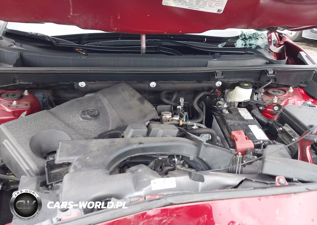 2023 Toyota Rav4 Xle VIN:2T3W1RFVXPW271460 - 10