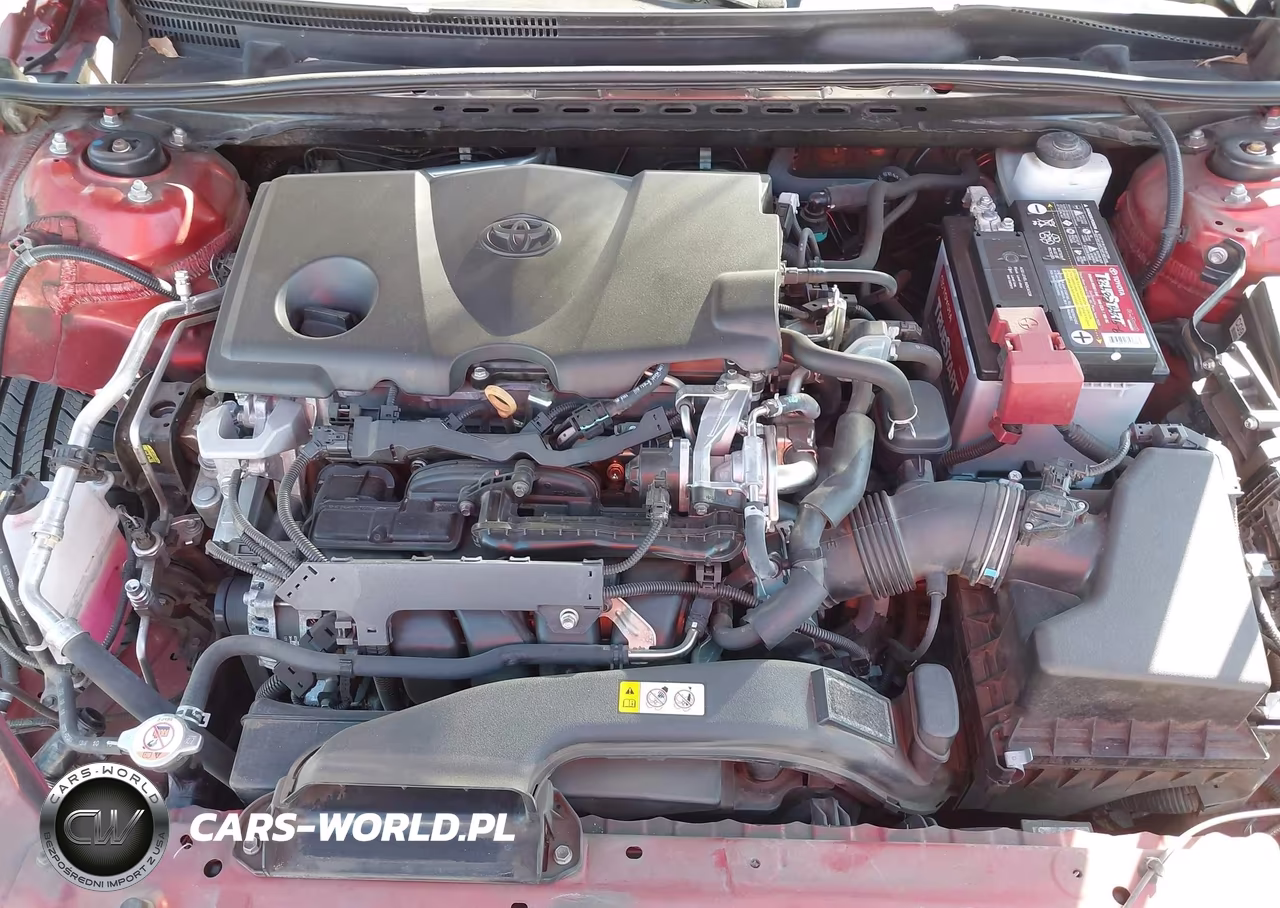 2019 Toyota Camry Se VIN:4T1B11HK4KU274066 - 10
