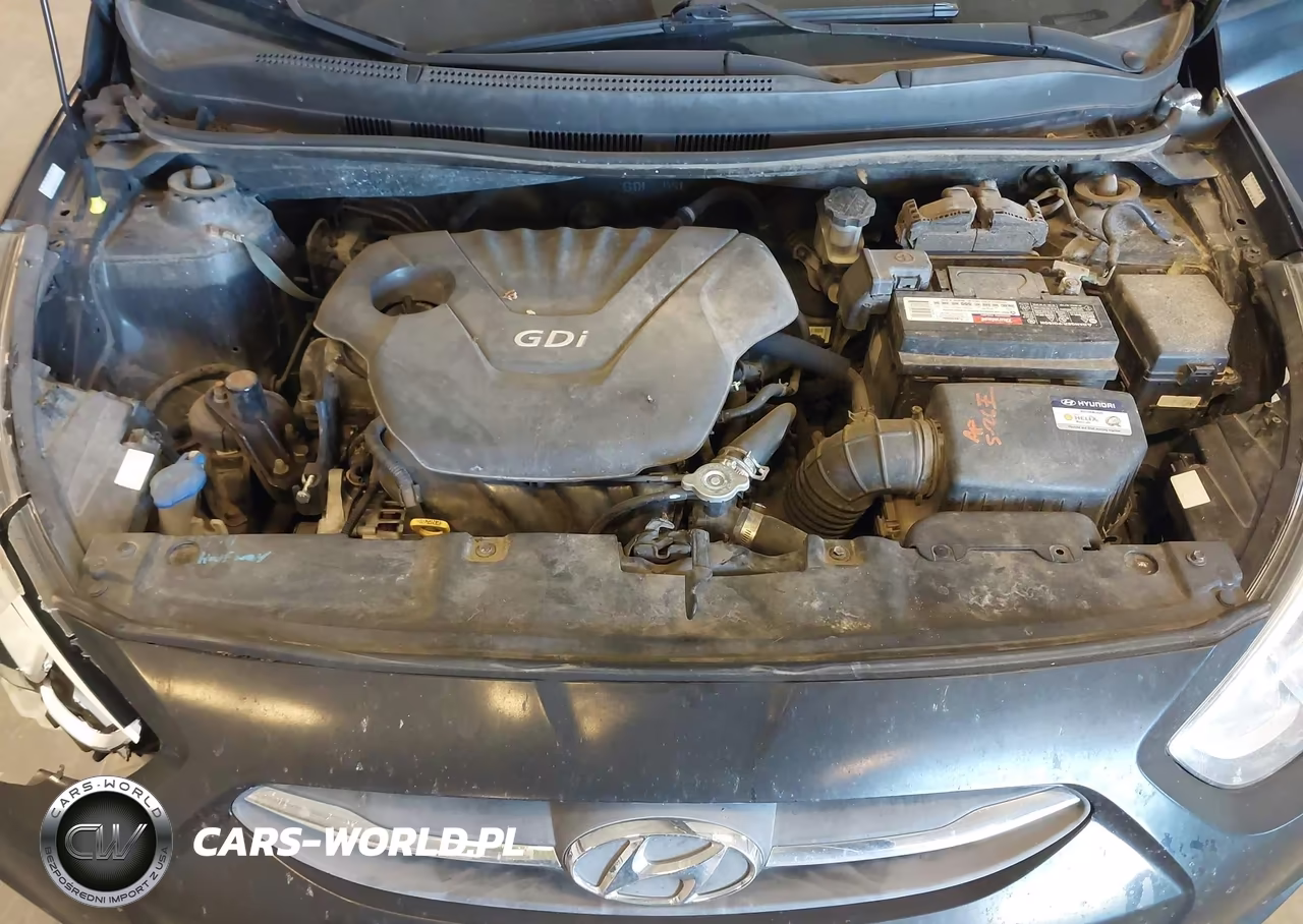 2016 Hyundai Accent Se VIN:KMHCT4AE8GU137238 - 10