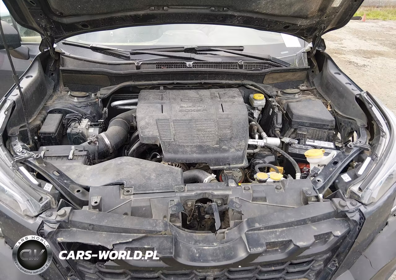 2024 Subaru Forester Wilderness VIN:JF2SKAJC0RH436476 - 10