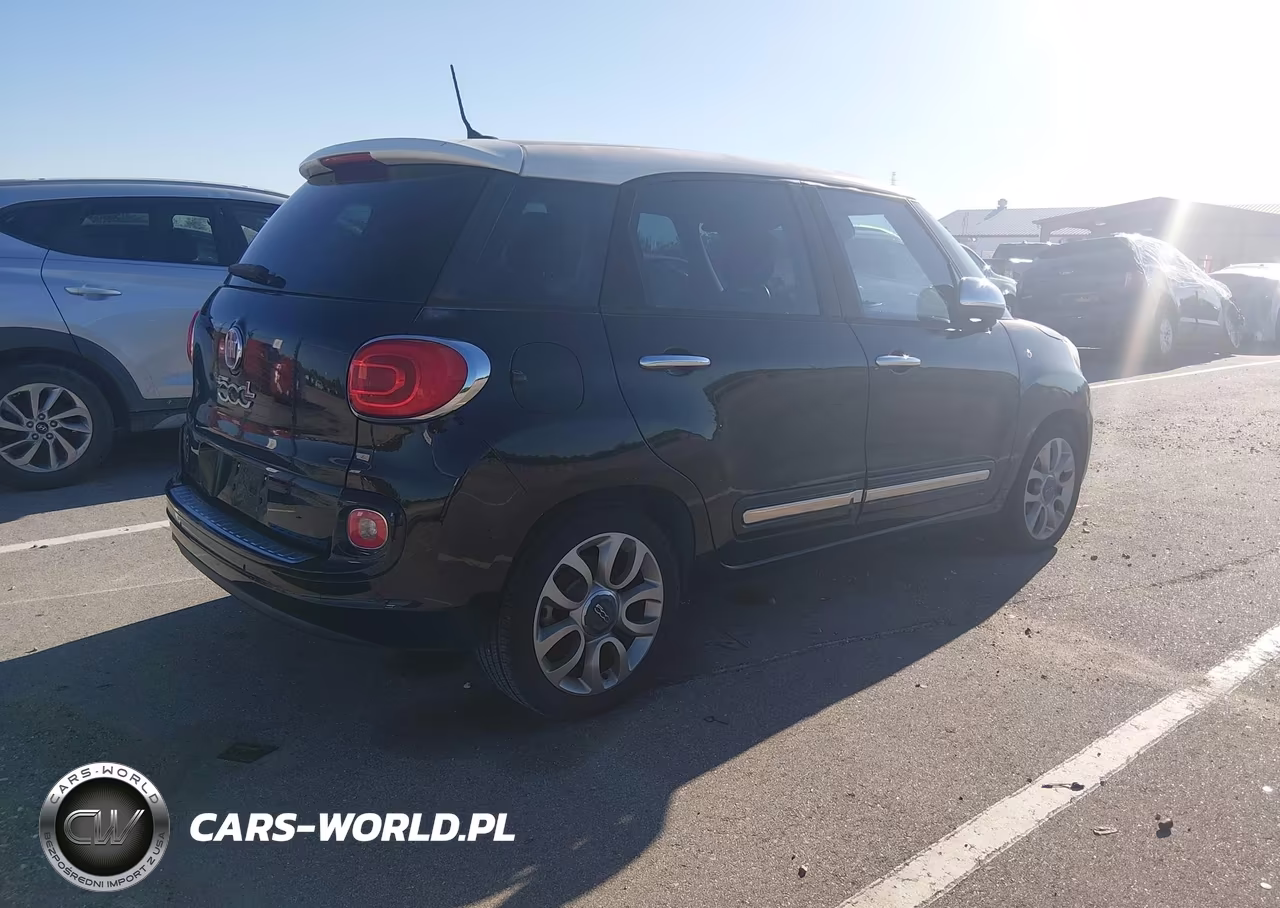 2014 Fiat 500L Lounge VIN:ZFBCFACH5EZ005073 - 4