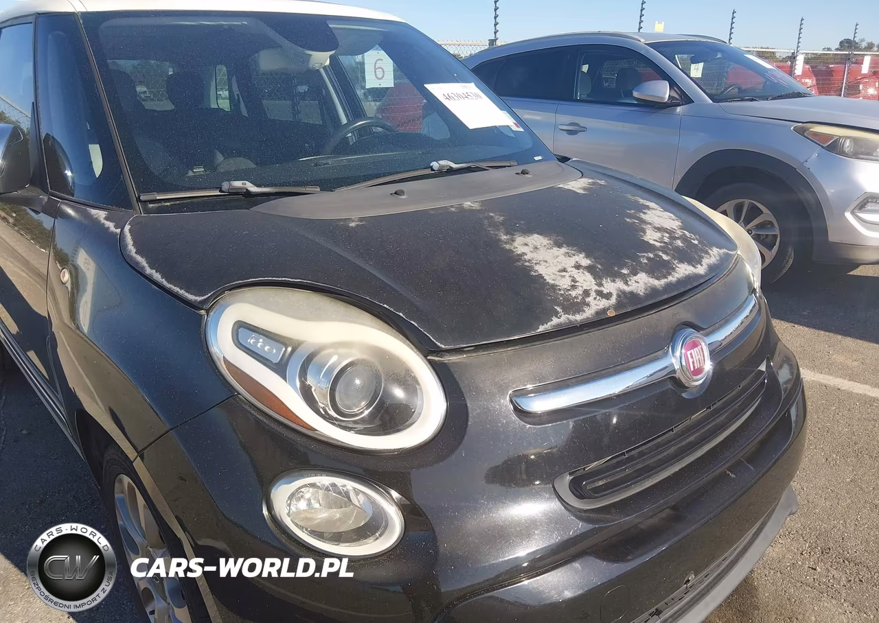2014 Fiat 500L Lounge VIN:ZFBCFACH5EZ005073 - 6