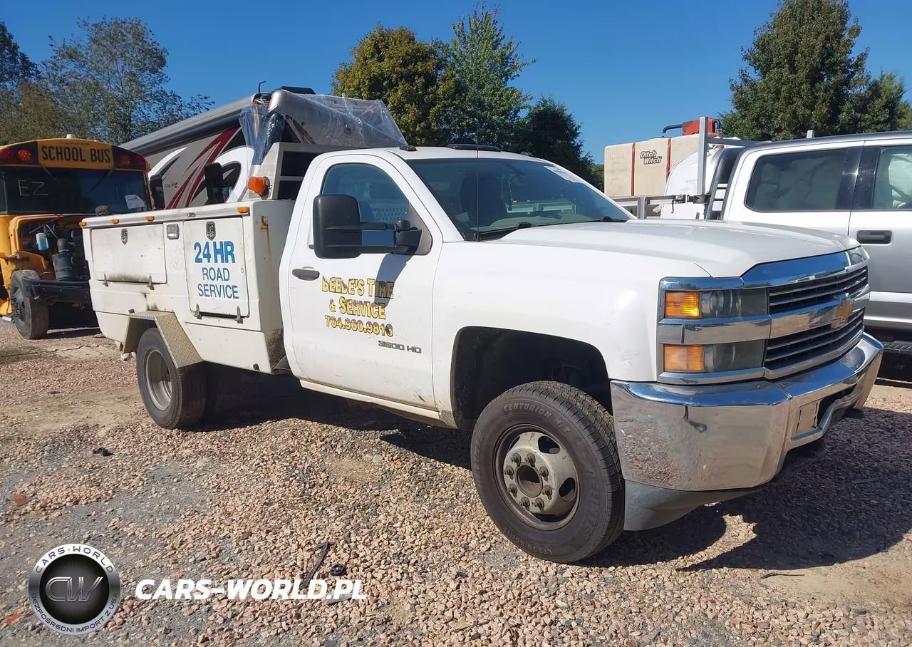 2017 Chevrolet Silverado 3500Hd Chassis Wt VIN:1GB3CYCG7HZ239844 - 1