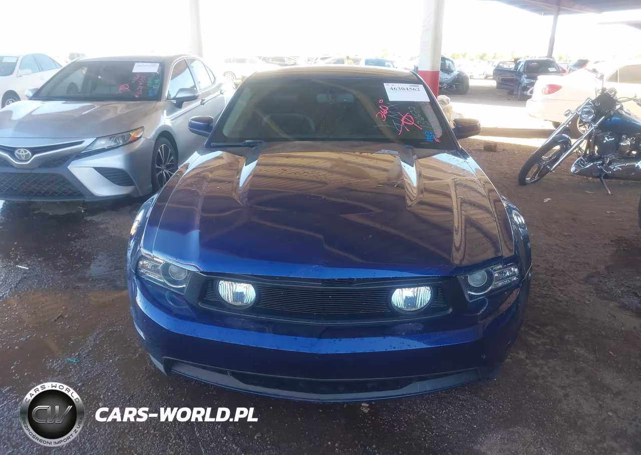 2011 Ford Mustang Gt Premium VIN:1ZVBP8CF5B5136677 - 11