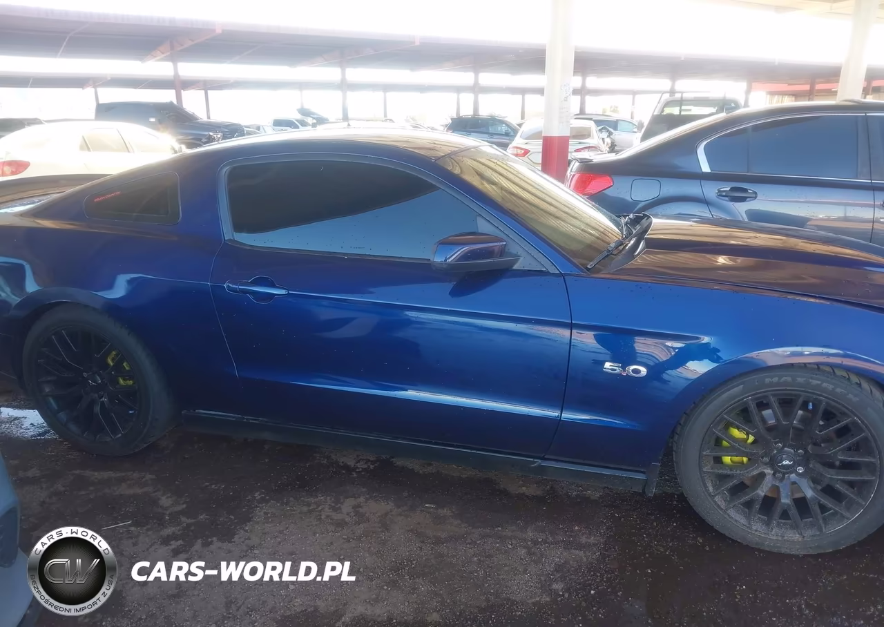 2011 Ford Mustang Gt Premium VIN:1ZVBP8CF5B5136677 - 12