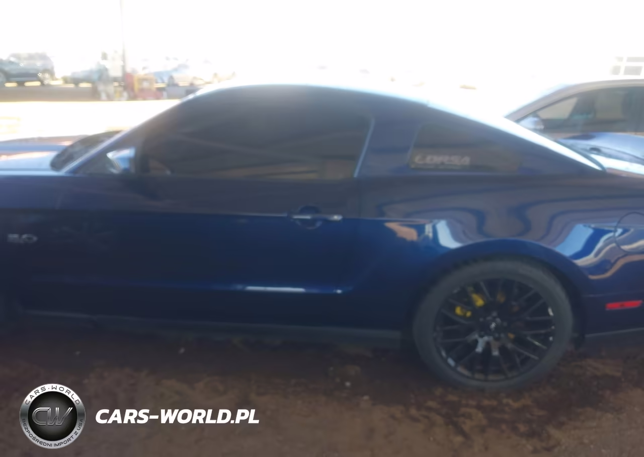 2011 Ford Mustang Gt Premium VIN:1ZVBP8CF5B5136677 - 13