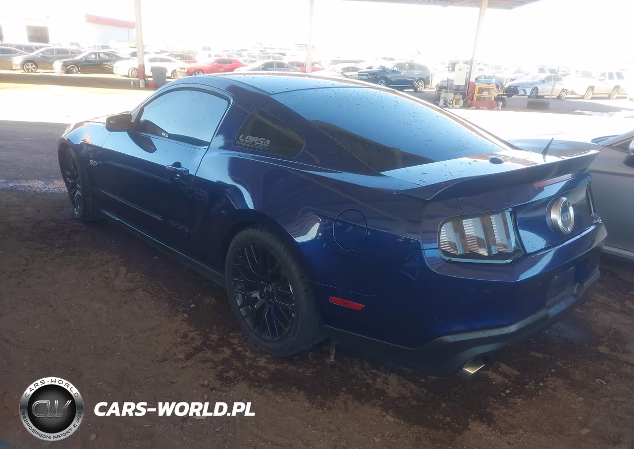 2011 Ford Mustang Gt Premium VIN:1ZVBP8CF5B5136677 - 3