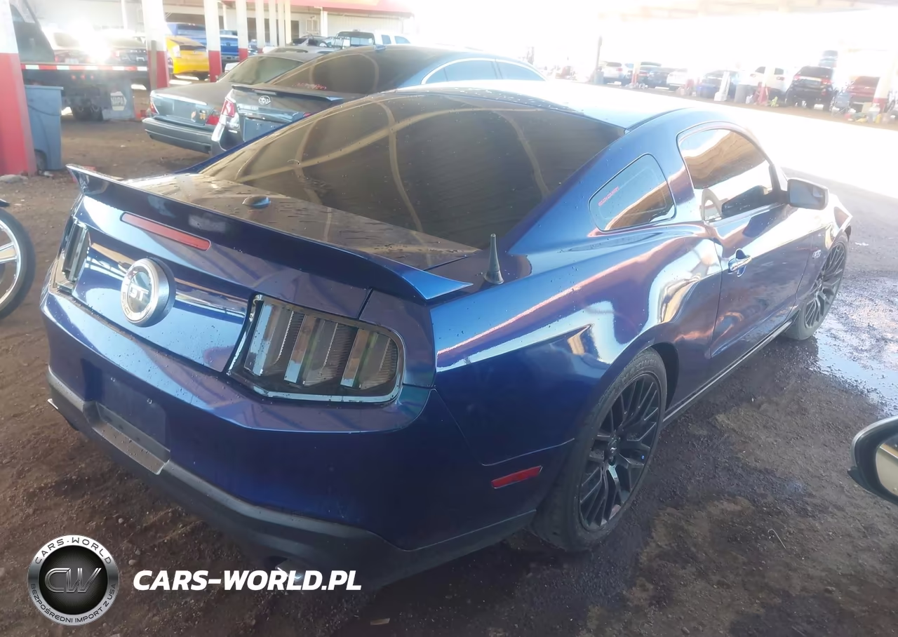 2011 Ford Mustang Gt Premium VIN:1ZVBP8CF5B5136677 - 4