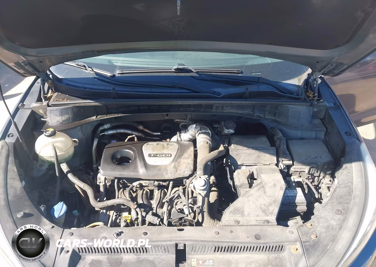 2016 Hyundai Tucson Eco VIN:KM8J3CA21GU138545 - 10