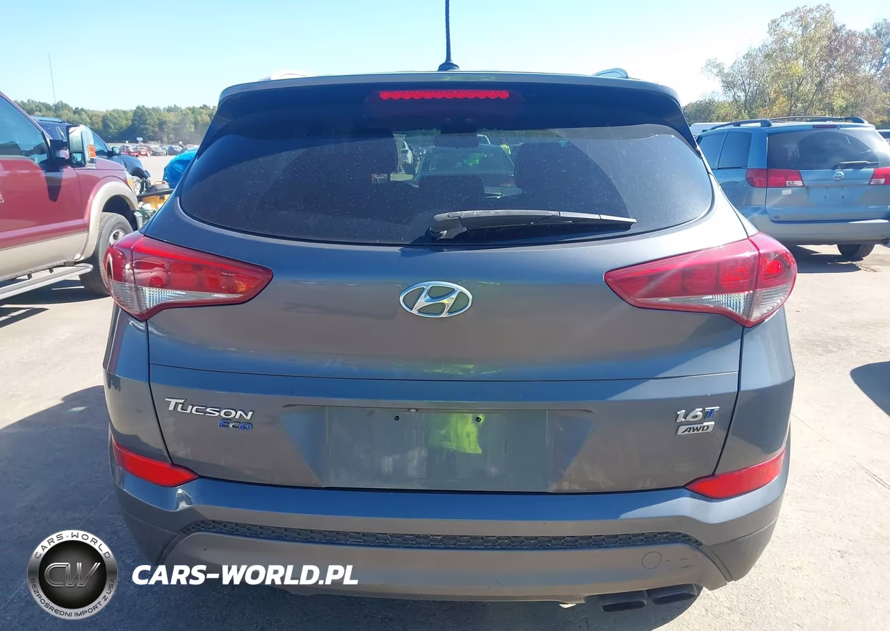 2016 Hyundai Tucson Eco VIN:KM8J3CA21GU138545 - 16
