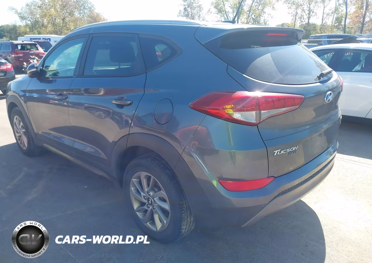 2016 Hyundai Tucson Eco VIN:KM8J3CA21GU138545 - 3