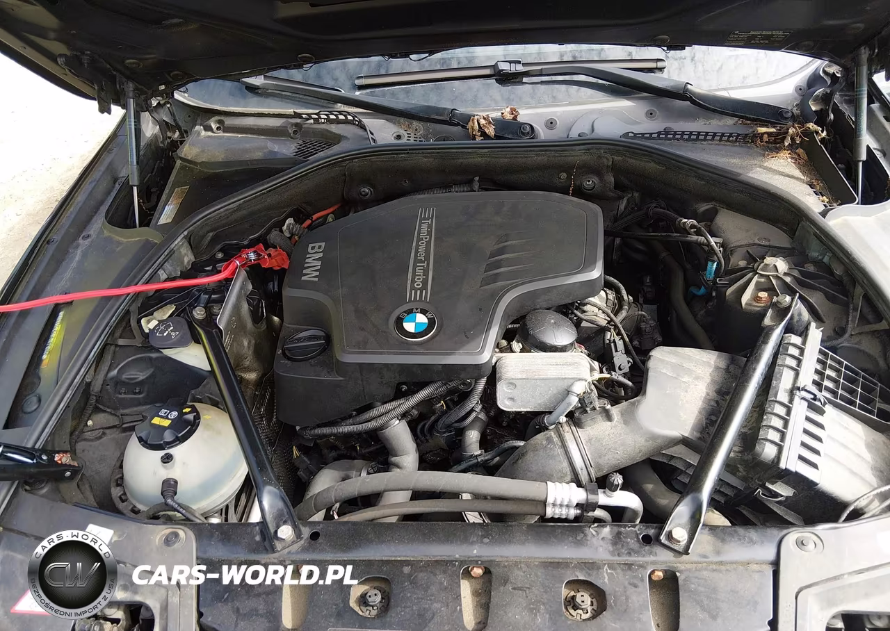 2015 BMW 528I xDrive VIN:WBA5A7C53FD621640 - 10