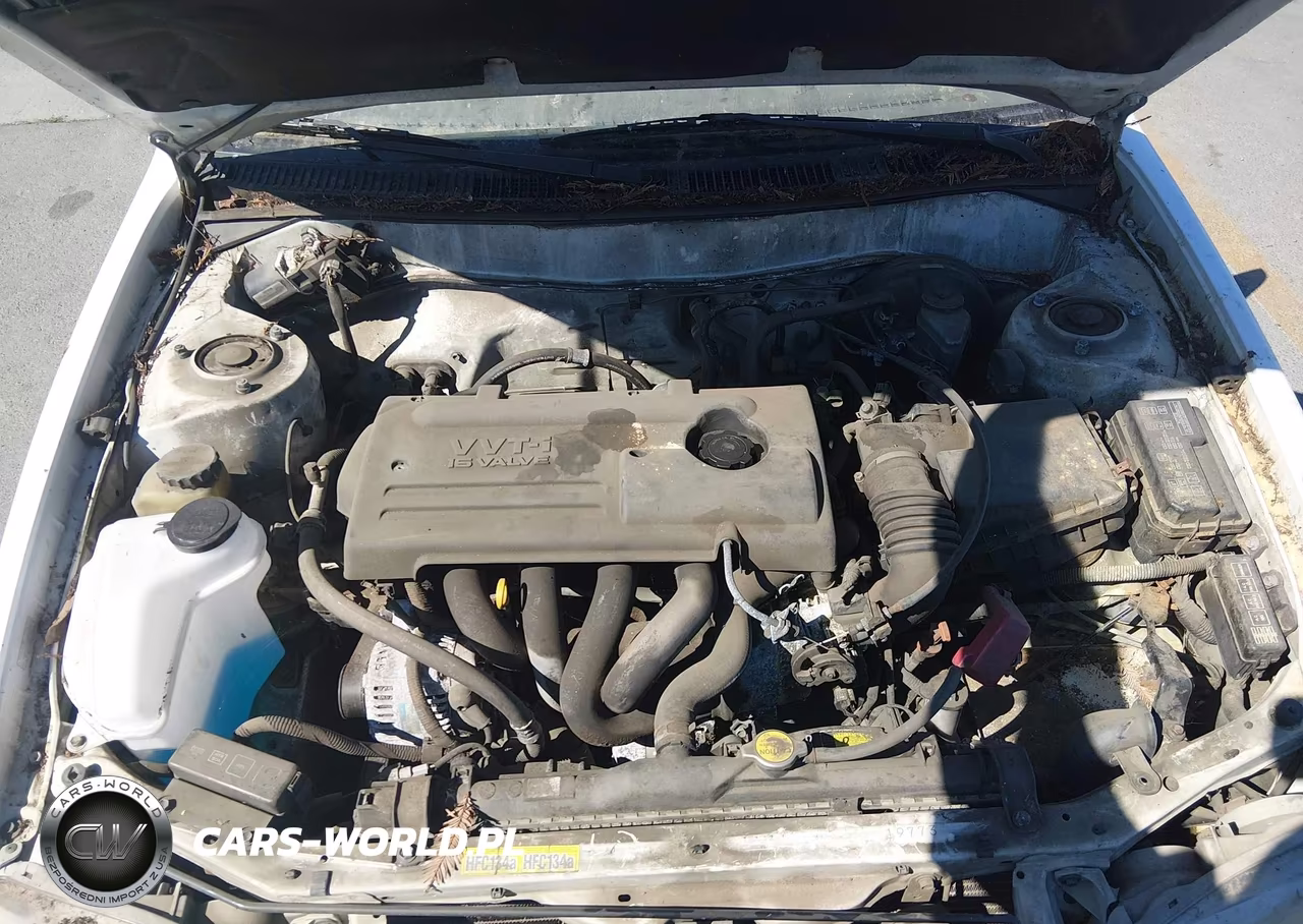2001 Toyota Corolla Le VIN:1NXBR12E21Z506660 - 10
