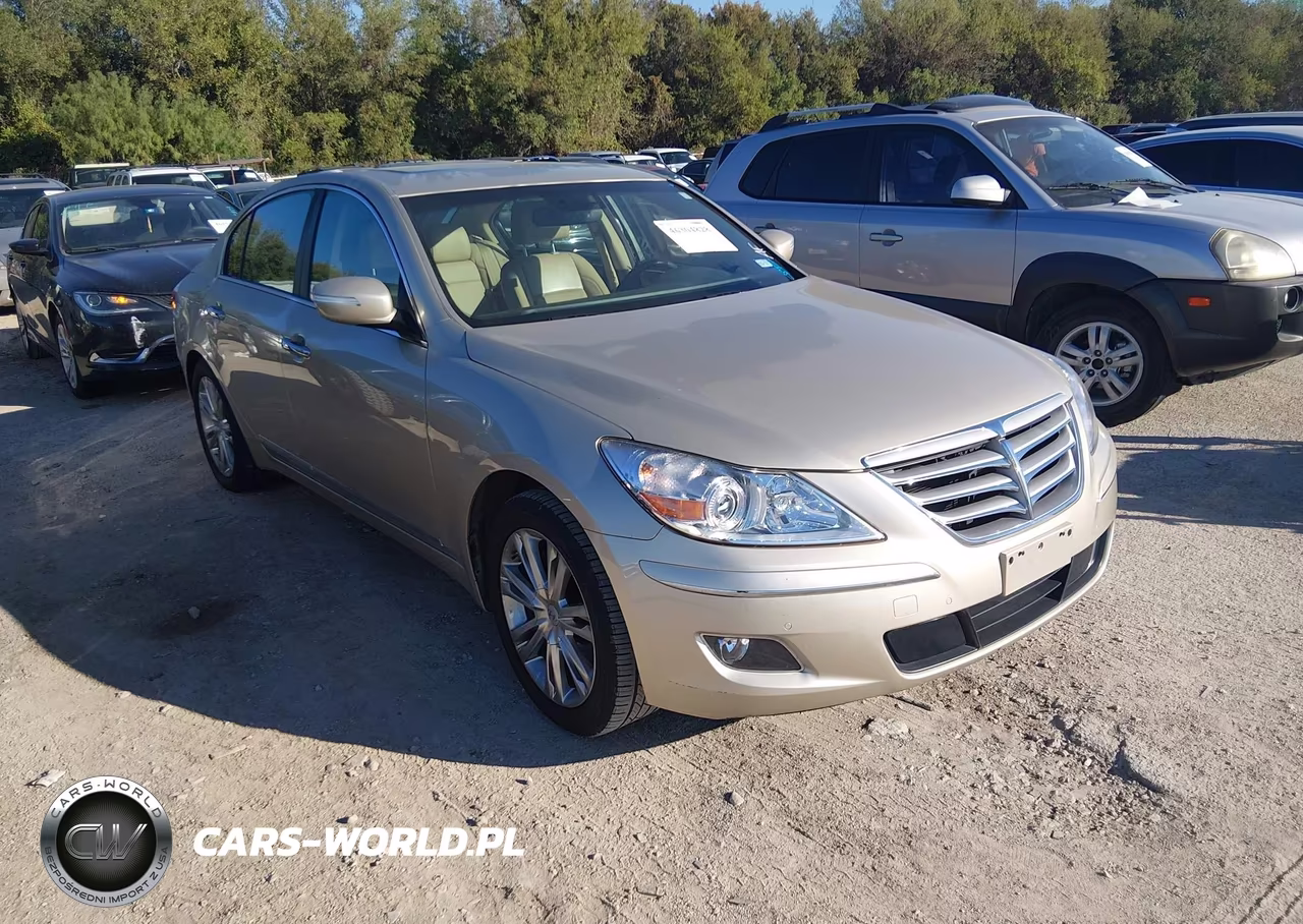 2010 Hyundai Genesis 4.6 VIN:KMHGC4DF6AU092507 - 1